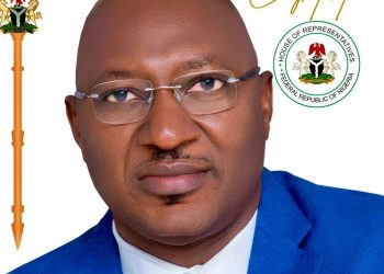 Tribunal sacks Enugu Rep, declares PDP candidate winner