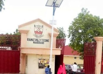 Gov. Zulum appoints new Rector for Ramat polytechnic