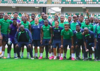 Saudi Arabia friendly is good test for Eagles — Adepoju