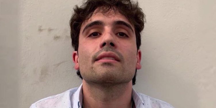 Mexico extradites son of cartel kingpin ‘El Chapo’ to US