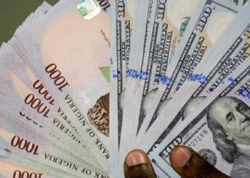 Naira among Africa’s worst currencies, falls by 40% – World Bank