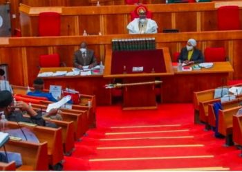 Senate to ban CBN governor from politics, local FX transactions, proposes jail term
