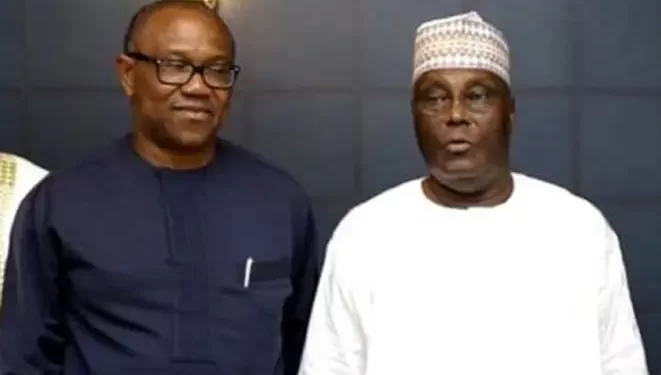 We’re not interested in merger with PDP, others – LP