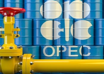 Oil price drops further after OPEC delays meeting