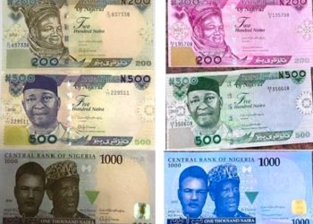 Supreme Court rules old, new naira notes to co-exist till further notice