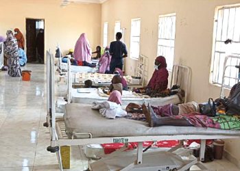 Jigawa approves employment of 1,124 casual health workers