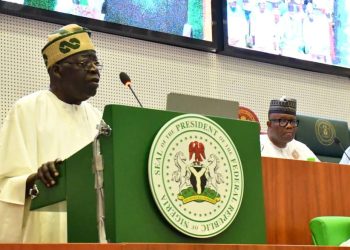 Budget 2024 a whimper, not a bang – Punch