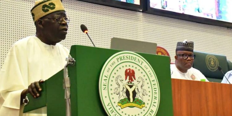 Budget 2024 a whimper, not a bang – Punch