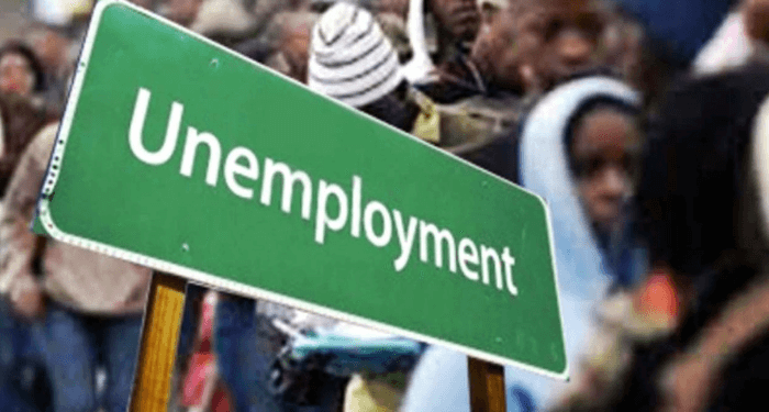 Youth unemployment rises to 7.2% in Q2 — NBS