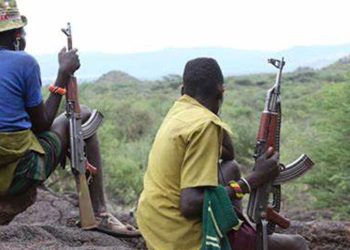 Bandits abduct police officers, monarch, pregnant woman, 13 others in Taraba