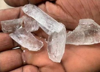 Igbo youths move against consumption of ‘Mkpuru mmiri’