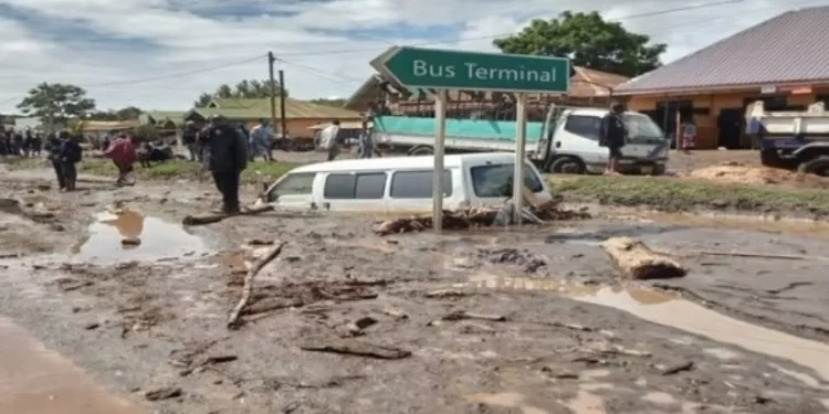 Death toll from Tanzania landslides rises to 57