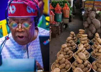 FG mulls food import if hunger persists