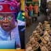 FG mulls food import if hunger persists