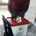 Osun LG polls hold Feb 22
