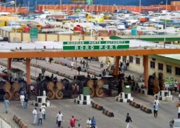 NPA defends fees collection in dollars