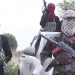Boko Haram abducts 200 women, others in Borno