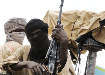 Stop the mass abductions now – Punch