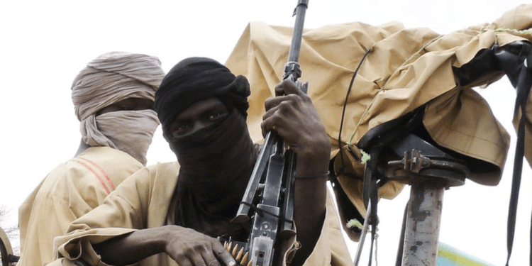 Stop the mass abductions now – Punch