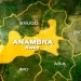 Senate rejects Anambra’s inclusion in NDDC