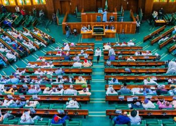 Reps seek 5-month leave for widows