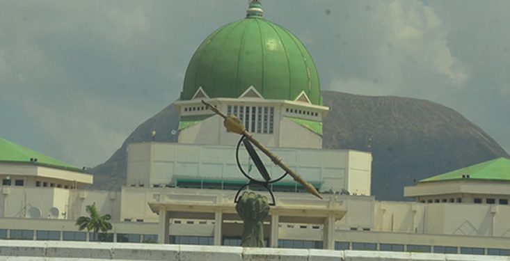 Constituency projects: The plundering continues – Punch