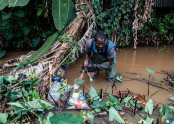 Kenya bans plastic bags for organic rubbish