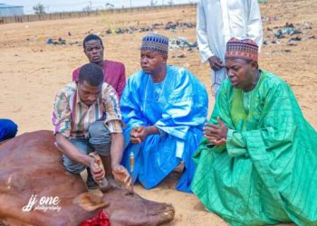Yobe govt launches spiritual warf against electricity tower vandals