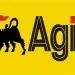 Rivers community shuts down Agip’s Port Harcourt office