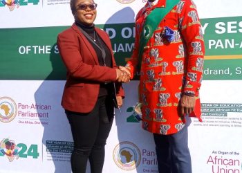 Think home – Deputy House Speaker urges Nigerians in diaspora