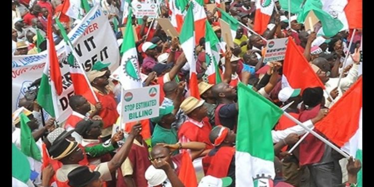 ASUU, TCN, 30 others join NLC nationwide strike