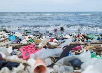 Nigeria needs to tackle plastic pollution – Punch