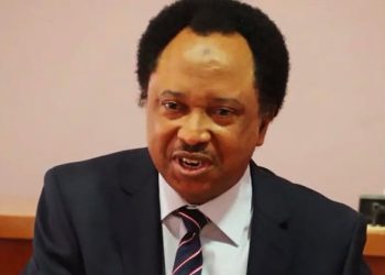 2027: Northern politicians’ visit to Buhari plot to unseat Tinubu – Shehu Sani