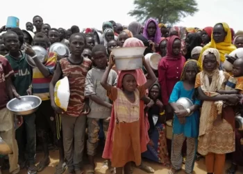 Millions of children going hungry in Sudan, says UNICEF