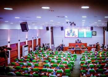 Reps seek six-year tenure for president, rotation among zones