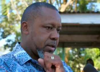 Plane carrying Malawi’s VP missing