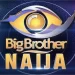 Organiser sets BBNaija prize money at N100m