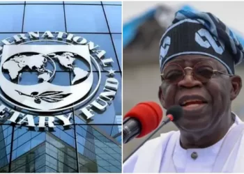 IMF downgrades Nigeria’s economic growth forecast