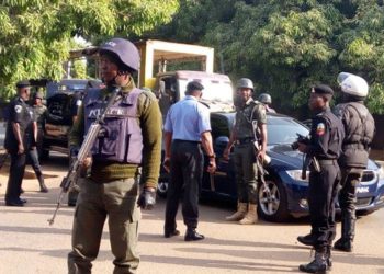 Nigeria Police Force wasn’t established to succeed, says Senate Leader