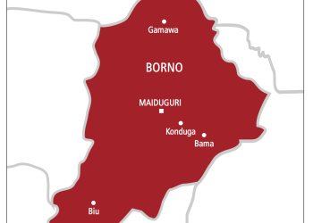 Bomb blast kills 19 in Borno bar