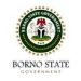 Borno govt loses another commissioner