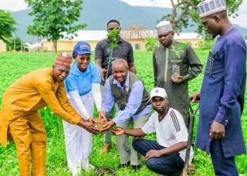 FirstBank, NCF extend tree-planting initiative to FCT