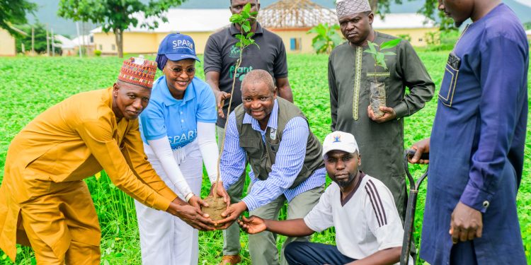 FirstBank, NCF extend tree-planting initiative to FCT