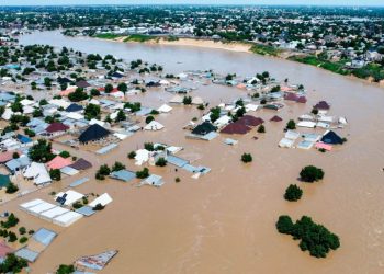 FG plans upgrade of Borno dam to check flooding