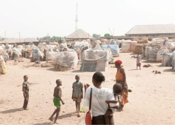 Snakes invade IDP camps after Benue floods