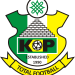Kano Pillars sign 12 new players