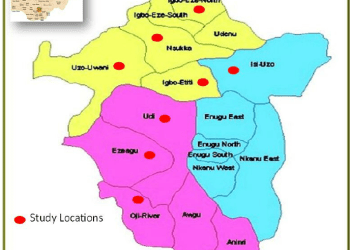 PDP wins Enugu East LGA chairmanship election