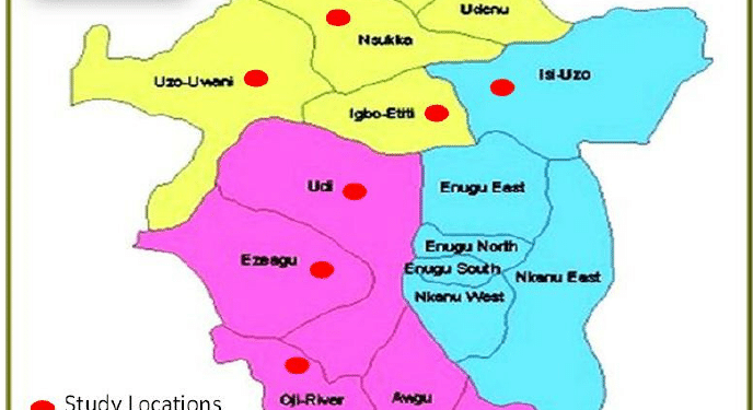 PDP wins Enugu East LGA chairmanship election