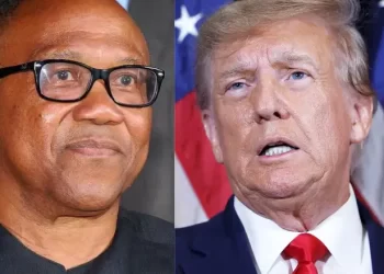 Peter Obi is Nigerian version of Donald Trump, says Presidency
