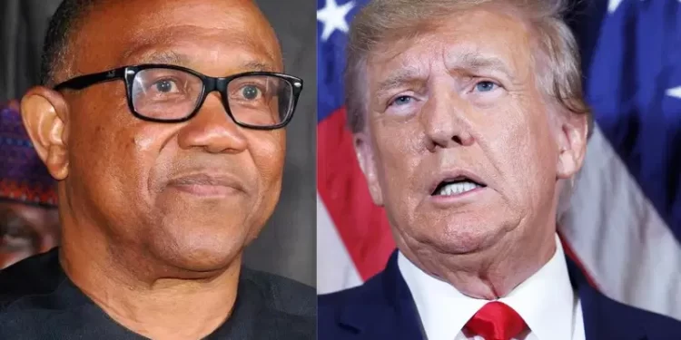 Peter Obi is Nigerian version of Donald Trump, says Presidency